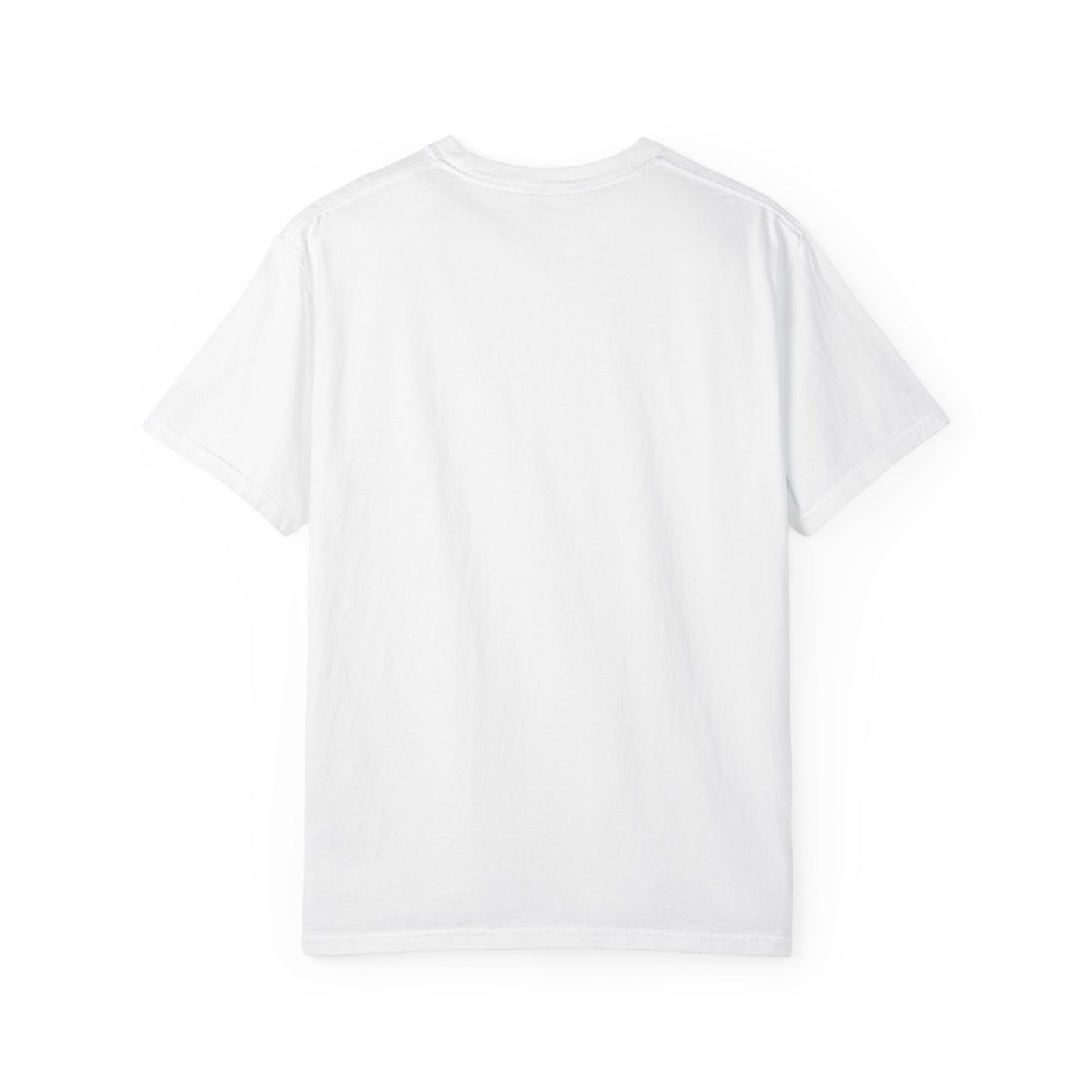 Suspect Says Relaxed Graphic T-Shirt — Cute Vintage Silly Goose Tee